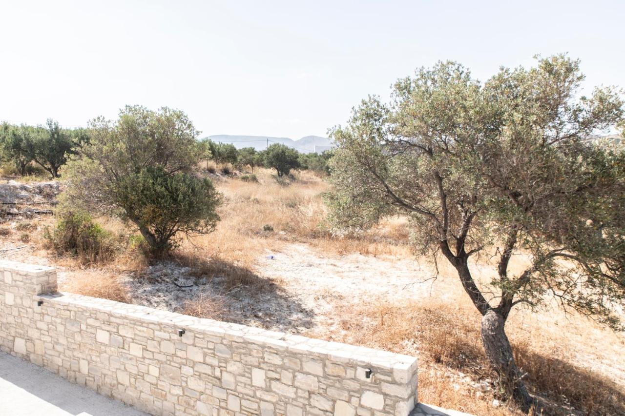 Aeonios Luxury Villa Pitsidia Exterior foto